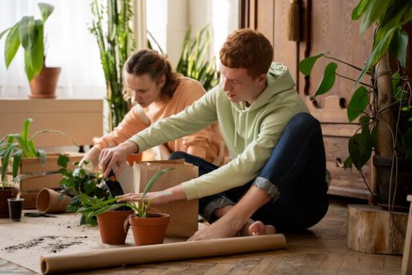 Indoor Plant Care Workshop